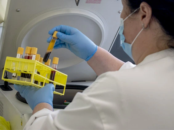 Tubos de colheitas Laboratório de Análises Clínicas na Cintramédica