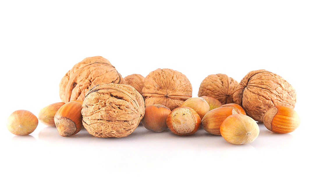 Alergia a frutos secos de casca rija