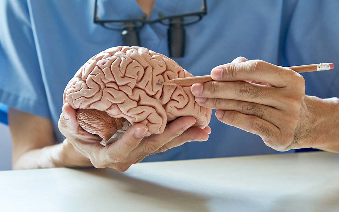 Neuropsicologia Clínica, neuropsicólogo identifica problemas no cérebro que influenciam o comportamento